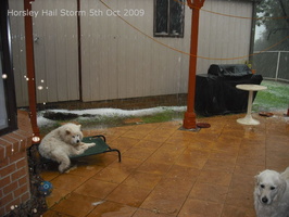 20091005 Hail Storm 04 of 52